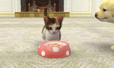 nintendogs+cats how to get money fast